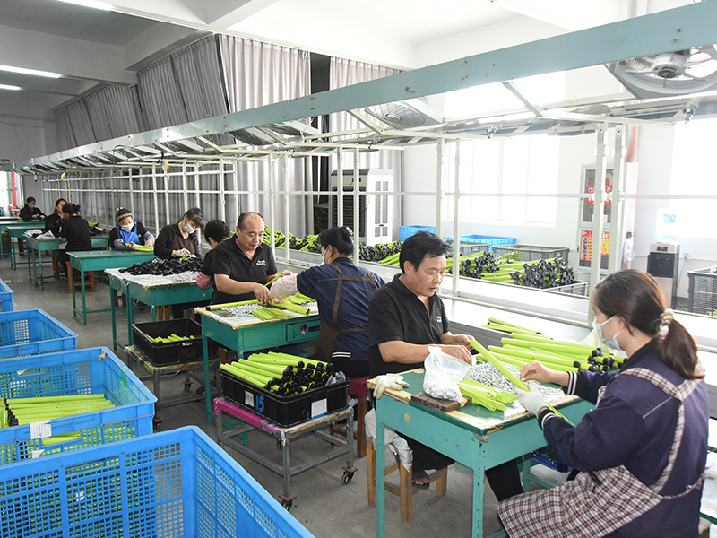 Ningbo Hengjiu Lighting Co., Ltd.